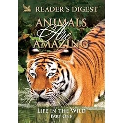 Animals Are Amazing: Life in the Wild: Part One