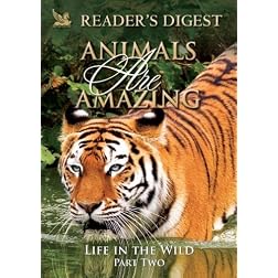 Animals Are Amazing: Life in the Wild: Part Two