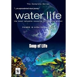 Water Life: Soup of Life