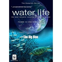Water Life: The Big Blue
