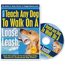 How To Teach Any Dog To Walk On A Loose Leash