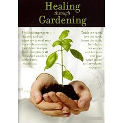 Healing Through Gardening