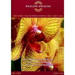 The Power of Flowers 13: Healing Orchids