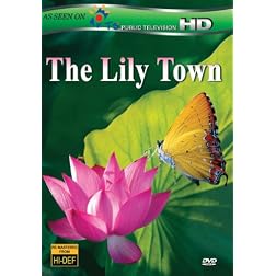 The Lily Town