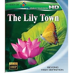 Lily Town [Blu-ray]