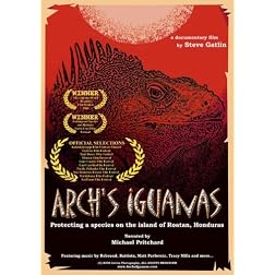 Arch's Iguanas