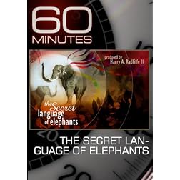 60 Minutes - The Secret Language of Elephants (January 3, 2010)