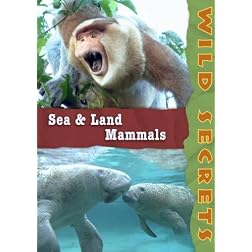 Wild Secrets: Sea and Land Mammals (Non-Profit)