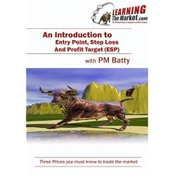 Introduction to ESP (TM)