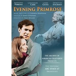 Evening Primrose