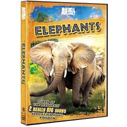 Elephants