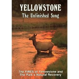 Yellowstone Unfinished Song
