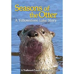 Seasons of the Otter