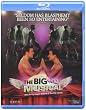 The Big Gay Musical [Blu-ray]