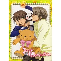 Junjo Romantica Season 1 Dvd Collection