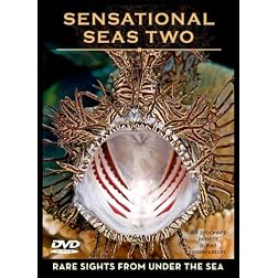 Sensational Seas Two