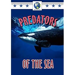 Predators of the Sea