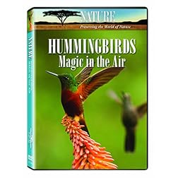 Nature: Hummingbirds