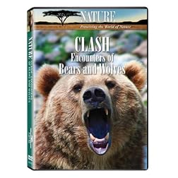 Nature: Clash: Encounters of Bears & Wolves