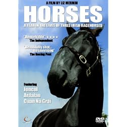 Horses - A Year In The Lives Of Three Irish Racehorses