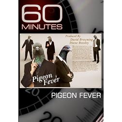 60 Minutes - Pigeon Fever (February 14, 2010)