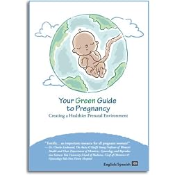 Your Green Guide to Pregnancy: Creating a Healthier Prenatal Environment (2010)