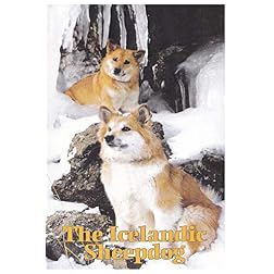 The Icelandic Sheepdog