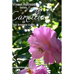Camellias Of The Emerald Coast - Visual Retreat