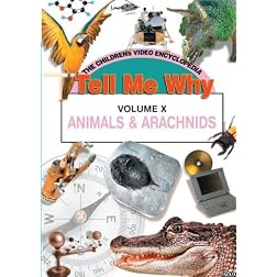 ANIMALS AND ARACHNIDS