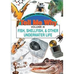 FISH SHELLFISH AND OTHER UNDERWATER LIFE