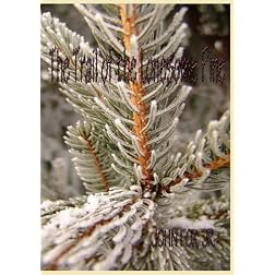 Trail of the Lonesome Pine
