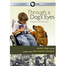 Through A Dog's Eyes