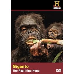Giganto: Real King Kong