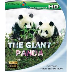 The Giant Panda [Blu-ray]
