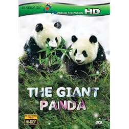The Giant Panda