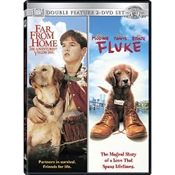 Far From Home/Fluke