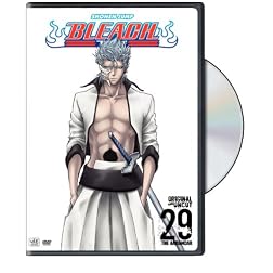 Bleach, Vol. 29