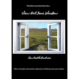 View Out Your Window ~ Sawtooth Pasture