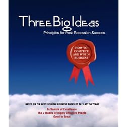 Three Big Ideas: Principles for Post-Recession Success
