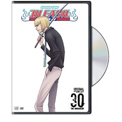 Bleach, Vol. 30