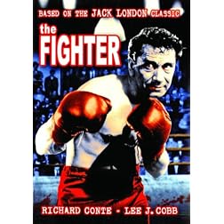 Fighter