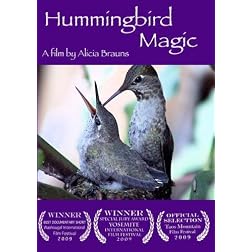 Hummingbird Magic