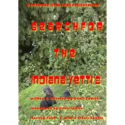 Search for the Indiana yetti 2