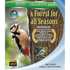 Wild Asia : A Forest for All Seasns (Blu-ray)