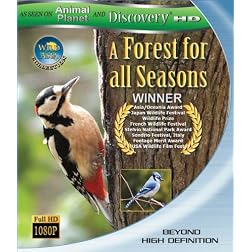 Wild Asia : A Forest for All Seasns (Blu-ray)