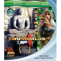 Wild Asia: Between Two Worlds [Blu-ray]