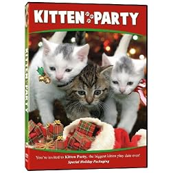 Kitten Party Holiday