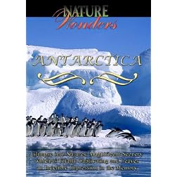 Nature Wonders Antarctica