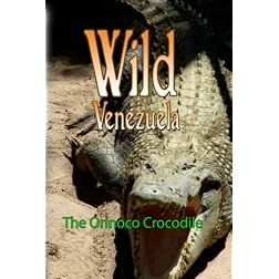 Wild Venezuela The Orinoco Crocodile