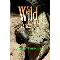 Wild Venezuela Birds in Paradise